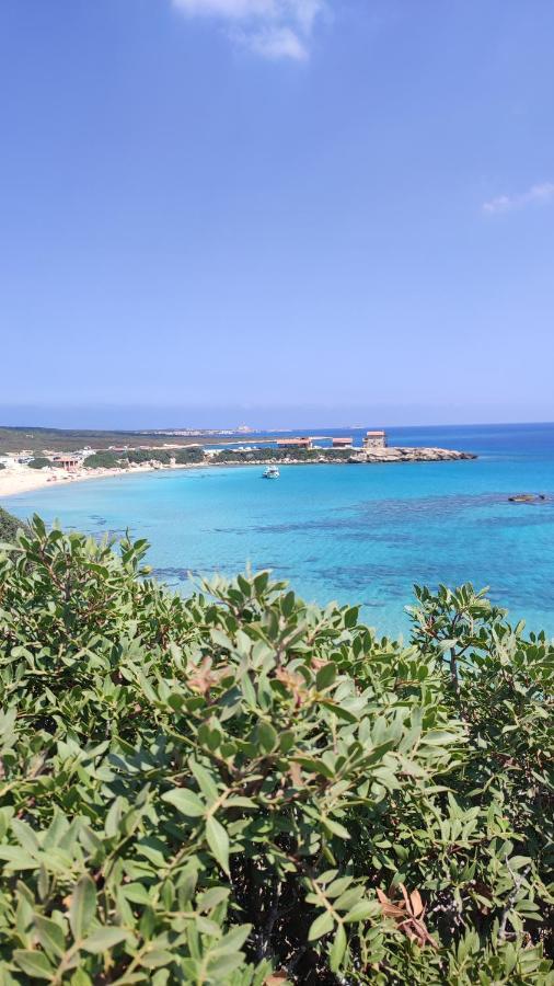 Fantastic 4 Cyprus First Line Beachfront Boghaz Экстерьер фото